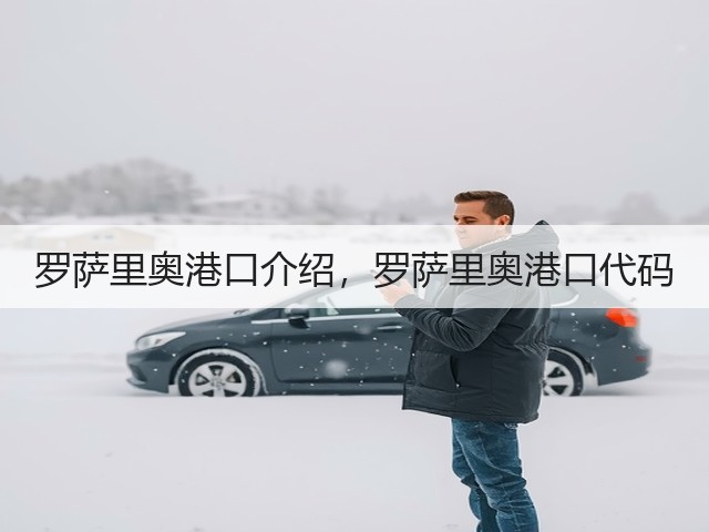 罗萨里奥港口介绍，罗萨里奥港口代码(图1)