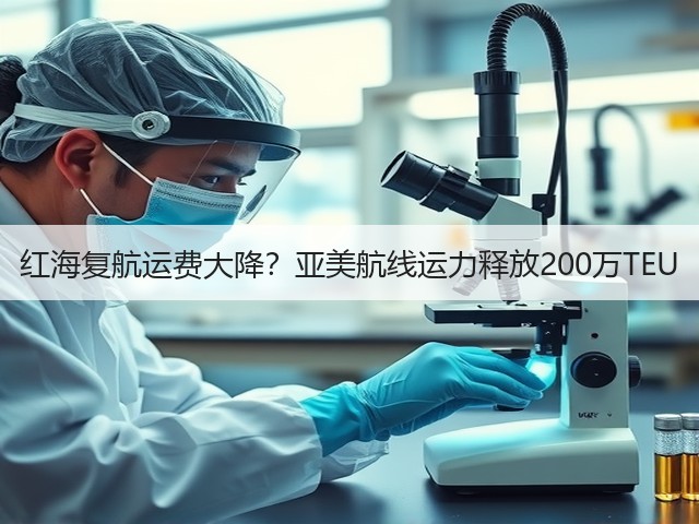 红海复航运费大降?亚美航线运力释放200万TEU(图1) 红海复航运费大降?亚美航线运力释放200万TEU(图1)