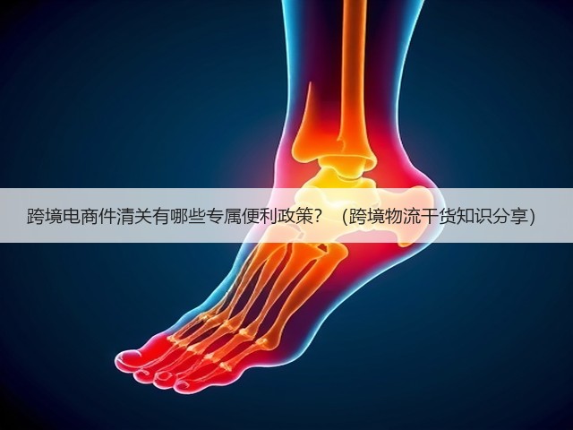 跨境电商件清关有哪些专属便利政策?(跨境物流干货知识分享)(图3) 跨境电商件清关有哪些专属便利政策?(跨境物流干货知识分享)(图3)