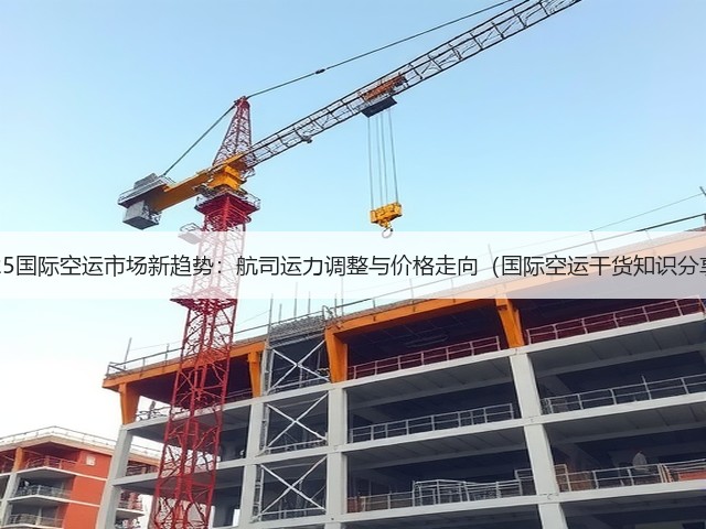 2025国际空运市场新趋势：航司运力调整与价格走向（国际空运干货知识分享）(图3)