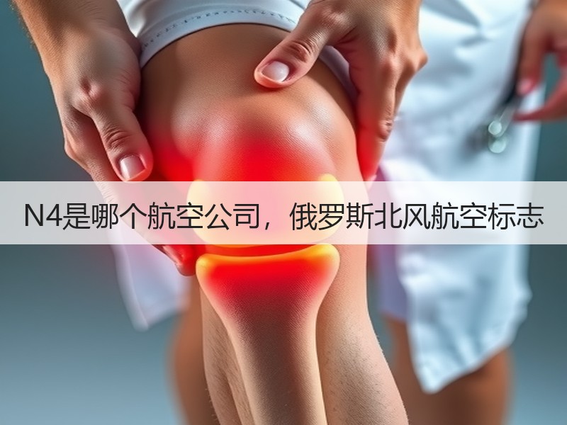 N4是哪个航空公司,俄罗斯北风航空标志 N4是哪个航空公司,俄罗斯北风航空标志