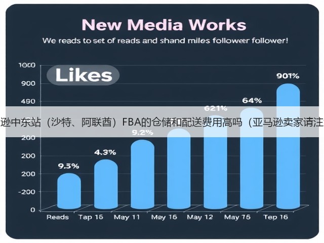 亚马逊中东站(沙特、阿联酋)FBA的仓储和配送费用高吗(亚马逊卖家请注意)(图2) 亚马逊中东站(沙特、阿联酋)FBA的仓储和配送费用高吗(亚马逊卖家请注意)(图2)