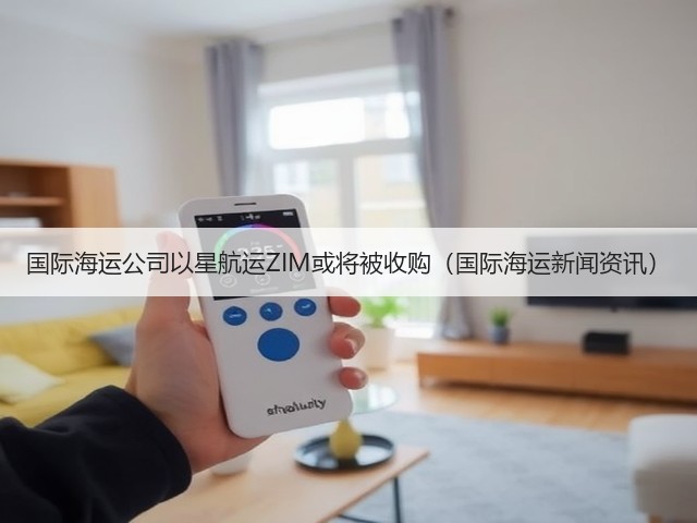 国际海运公司以星航运ZIM或将被收购（国际海运新闻资讯）(图2)