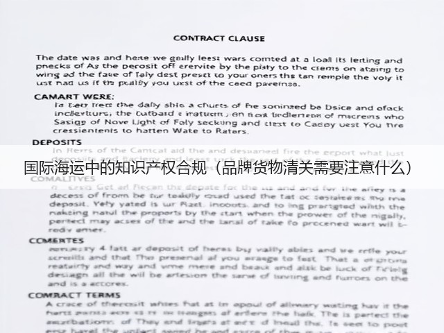 国际海运中的知识产权合规(品牌货物清关需要注意什么)(图3) 国际海运中的知识产权合规(品牌货物清关需要注意什么)(图3)