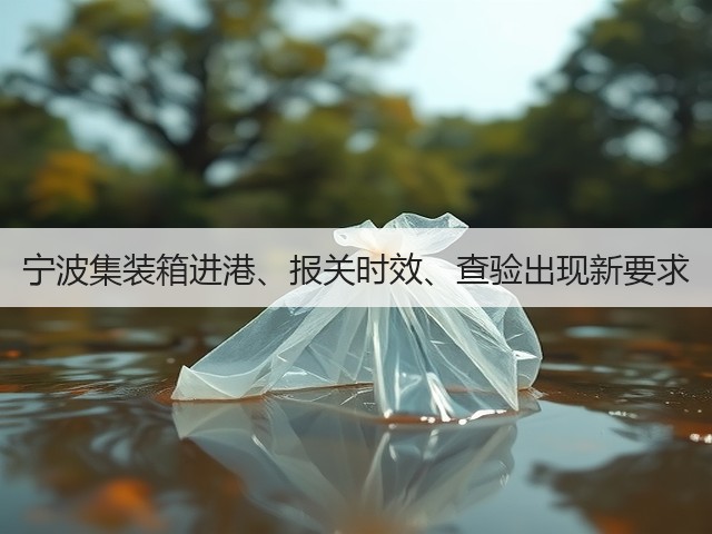 宁波集装箱进港、报关时效、查验出现新要求(图1)