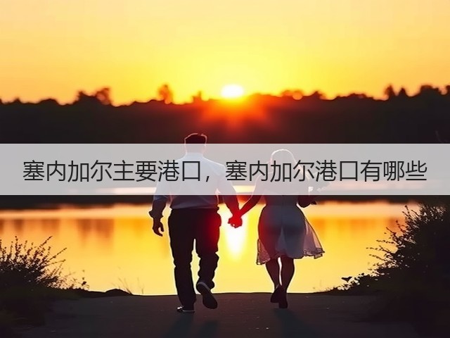 塞内加尔主要港口,塞内加尔港口有哪些(图2) 塞内加尔主要港口,塞内加尔港口有哪些(图2)