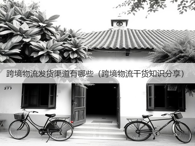 跨境物流发货渠道有哪些(跨境物流干货知识分享)(图3) 跨境物流发货渠道有哪些(跨境物流干货知识分享)(图3)