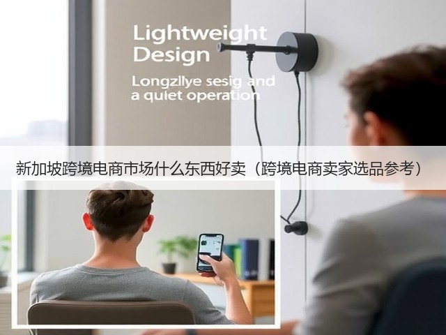 新加坡跨境电商市场什么东西好卖(跨境电商卖家选品参考)(图2) 新加坡跨境电商市场什么东西好卖(跨境电商卖家选品参考)(图2)