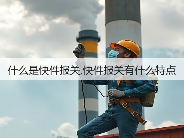 什么是快件报关,快件报关有什么特点(图2) 什么是快件报关,快件报关有什么特点(图2)