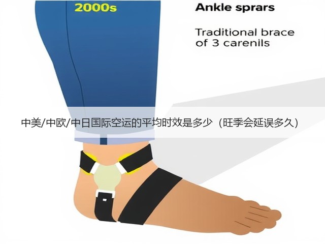 中美/中欧/中日国际空运的平均时效是多少(旺季会延误多久)(图1) 中美/中欧/中日国际空运的平均时效是多少(旺季会延误多久)(图1)