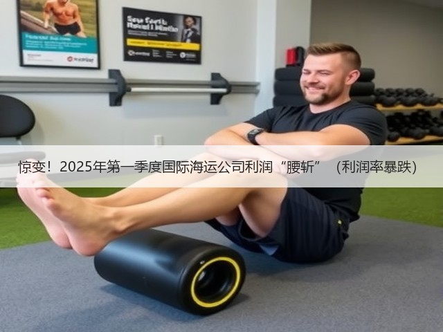 惊变!2025年第一季度国际海运公司利润“腰斩”(利润率暴跌)(图3) 惊变!2025年第一季度国际海运公司利润“腰斩”(利润率暴跌)(图3)