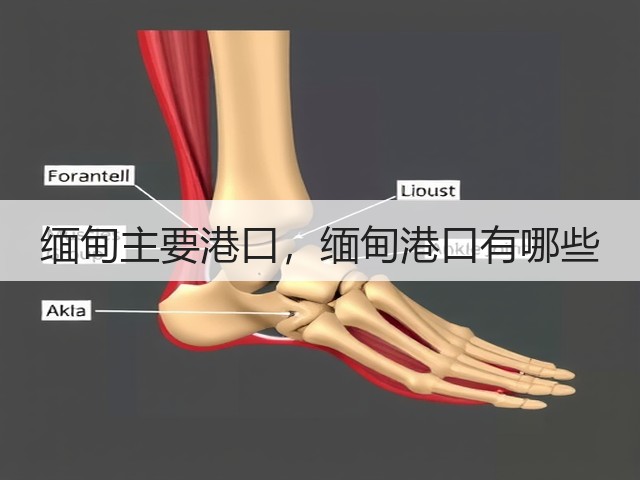缅甸主要港口,缅甸港口有哪些(图2) 缅甸主要港口,缅甸港口有哪些(图2)