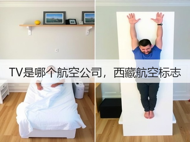 TV是哪个航空公司,西藏航空标志(图3) TV是哪个航空公司,西藏航空标志(图3)