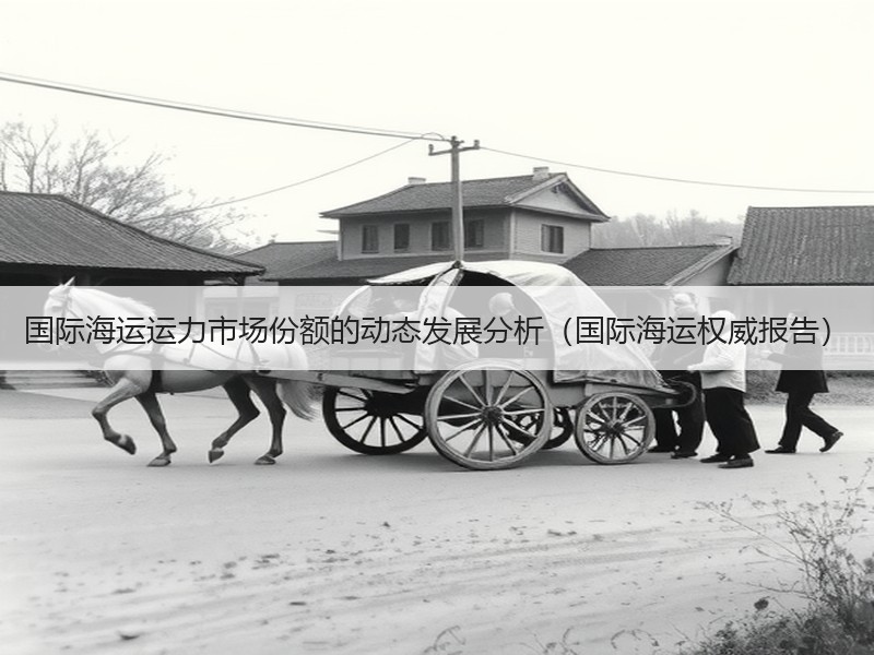 国际海运运力市场份额的动态发展分析（国际海运权威报告）