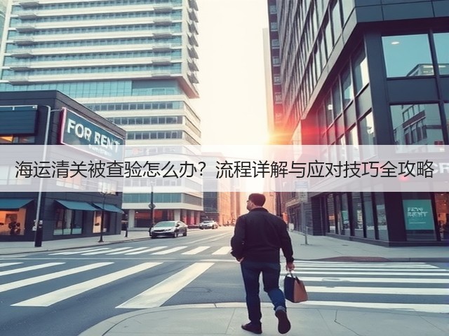 海运清关被查验怎么办？流程详解与应对技巧全攻略(图3)