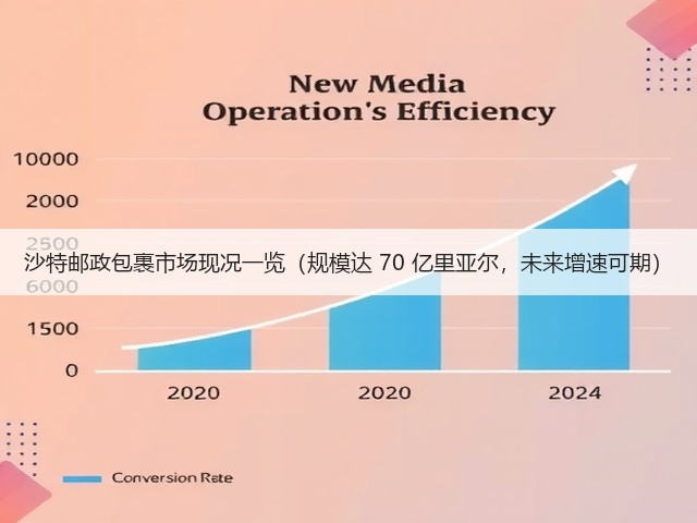 沙特邮政包裹市场现况一览(规模达 70 亿里亚尔,未来增速可期)(图2) 沙特邮政包裹市场现况一览(规模达 70 亿里亚尔,未来增速可期)(图2)