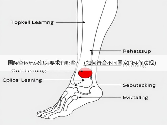 国际空运环保包装要求有哪些?(如何符合不同国家的环保法规)(图1) 国际空运环保包装要求有哪些?(如何符合不同国家的环保法规)(图1)