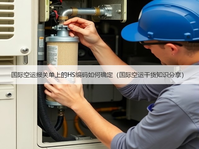 国际空运报关单上的HS编码如何确定(国际空运干货知识分享)(图3) 国际空运报关单上的HS编码如何确定(国际空运干货知识分享)(图3)