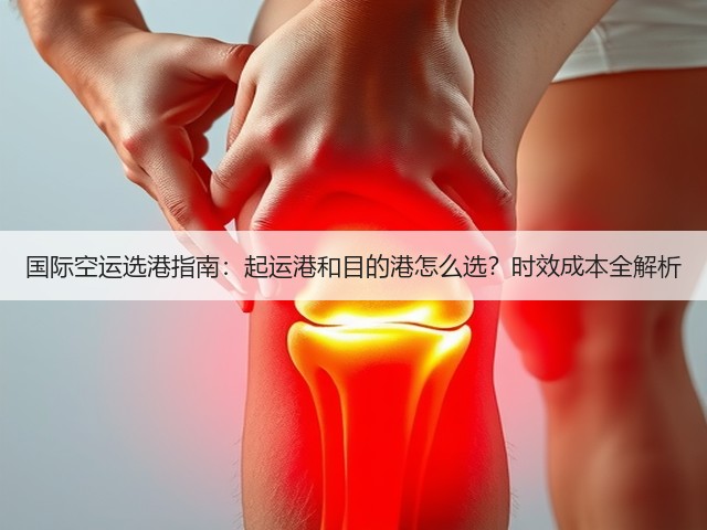 国际空运选港指南:起运港和目的港怎么选?时效成本全解析(图3) 国际空运选港指南:起运港和目的港怎么选?时效成本全解析(图3)