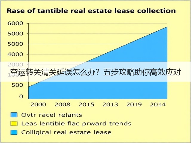空运转关清关延误怎么办？五步攻略助你高效应对(图3)