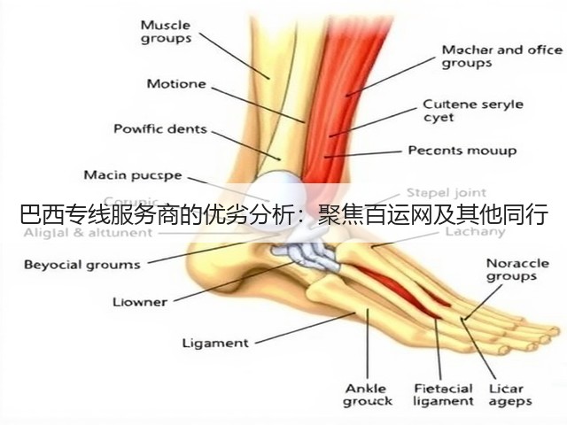 巴西专线服务商的优劣分析:聚焦百运网及其他同行(图1) 巴西专线服务商的优劣分析:聚焦百运网及其他同行(图1)