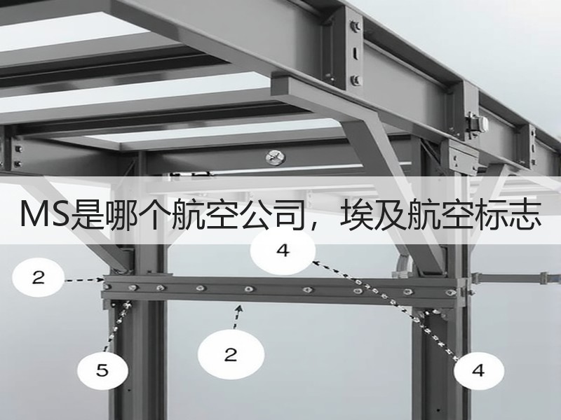 MS是哪个航空公司,埃及航空标志 MS是哪个航空公司,埃及航空标志