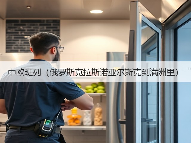 中欧班列(俄罗斯克拉斯诺亚尔斯克到满洲里)(图2) 中欧班列(俄罗斯克拉斯诺亚尔斯克到满洲里)(图2)