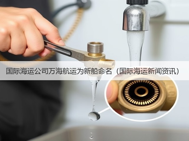 国际海运公司万海航运为新船命名（国际海运新闻资讯）(图2)