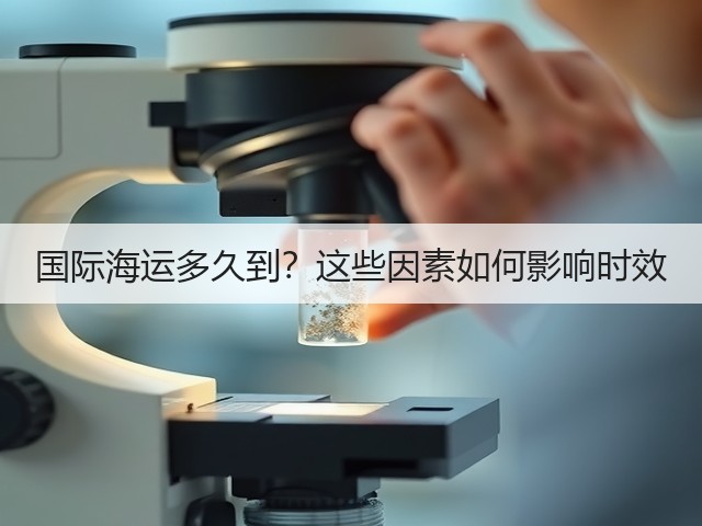 国际海运多久到?这些因素如何影响时效(图3) 国际海运多久到?这些因素如何影响时效(图3)