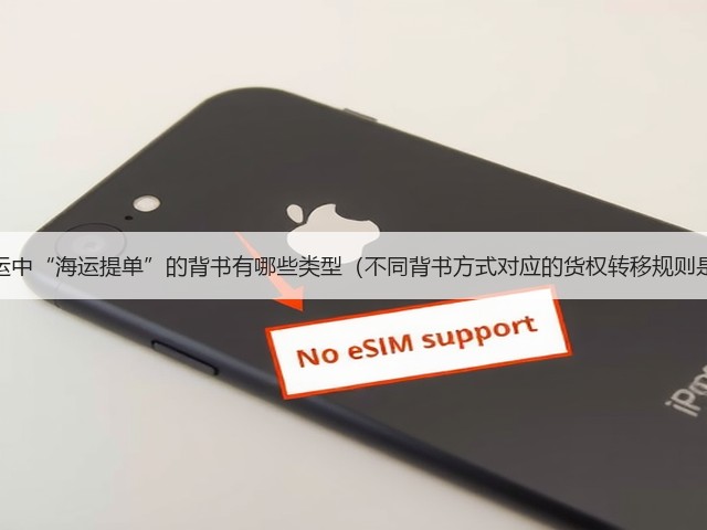 国际海运中“海运提单”的背书有哪些类型(不同背书方式对应的货权转移规则是什么)(图1) 国际海运中“海运提单”的背书有哪些类型(不同背书方式对应的货权转移规则是什么)(图1)