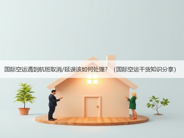 国际空运遇到航班取消/延误该如何处理?(国际空运干货知识分享)(图1) 国际空运遇到航班取消/延误该如何处理?(国际空运干货知识分享)(图1)