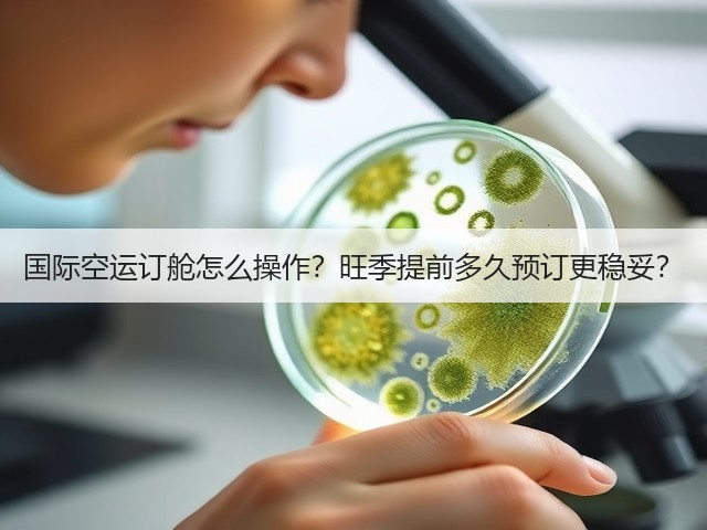 国际空运订舱怎么操作?旺季提前多久预订更稳妥?(图3) 国际空运订舱怎么操作?旺季提前多久预订更稳妥?(图3)