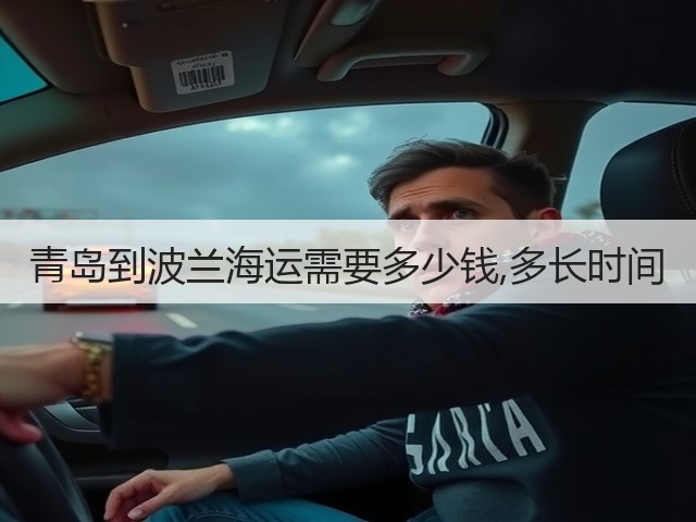 青岛到波兰海运需要多少钱,多长时间(图3) 青岛到波兰海运需要多少钱,多长时间(图3)