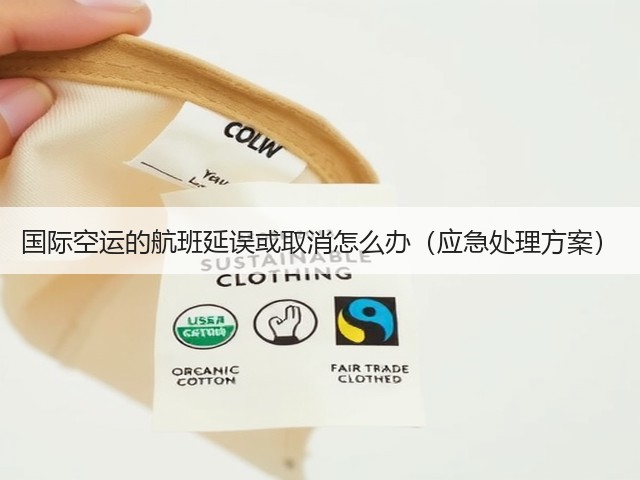 国际空运的航班延误或取消怎么办(应急处理方案)(图2) 国际空运的航班延误或取消怎么办(应急处理方案)(图2)