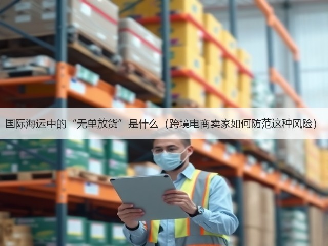国际海运中的“无单放货”是什么(跨境电商卖家如何防范这种风险)(图3) 国际海运中的“无单放货”是什么(跨境电商卖家如何防范这种风险)(图3)