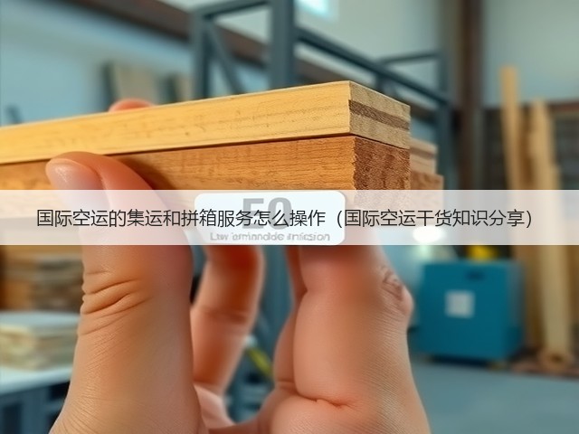 国际空运的集运和拼箱服务怎么操作(国际空运干货知识分享)(图3) 国际空运的集运和拼箱服务怎么操作(国际空运干货知识分享)(图3)