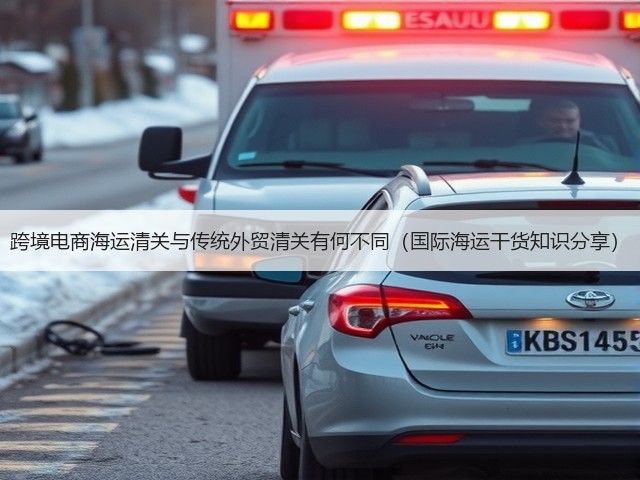 跨境电商海运清关与传统外贸清关有何不同(国际海运干货知识分享)(图3) 跨境电商海运清关与传统外贸清关有何不同(国际海运干货知识分享)(图3)