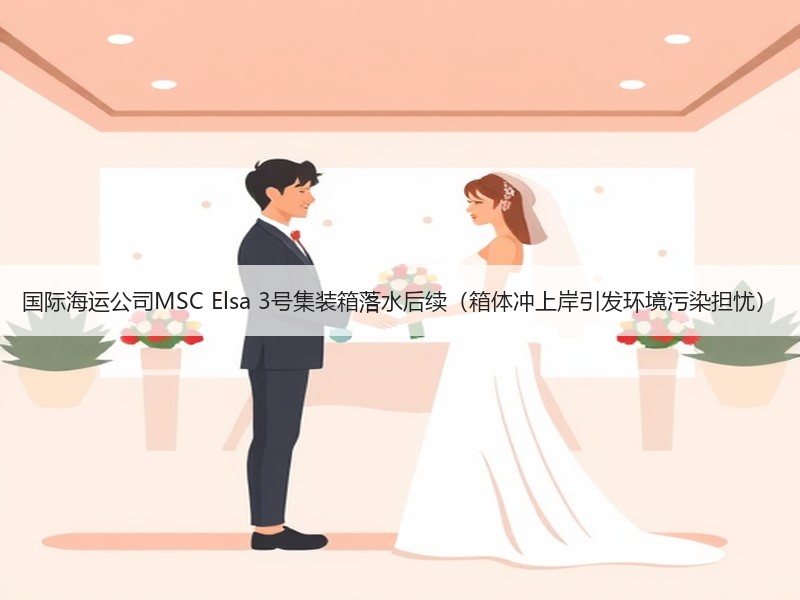 国际海运公司MSC Elsa 3号集装箱落水后续(箱体冲上岸引发环境污染担忧) 国际海运公司MSC Elsa 3号集装箱落水后续(箱体冲上岸引发环境污染担忧)