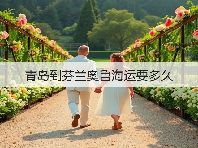 青岛到芬兰奥鲁海运要多久(图2) 青岛到芬兰奥鲁海运要多久(图2)
