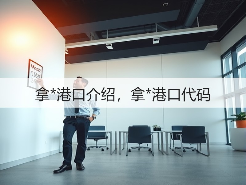 拿*港口介绍，拿*港口代码