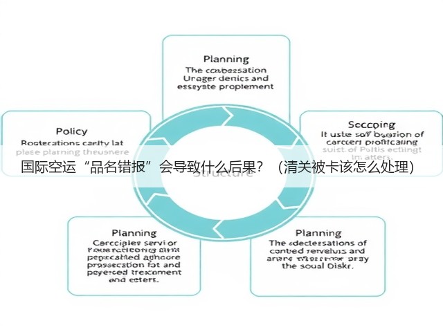 国际空运“品名错报”会导致什么后果?(清关被卡该怎么处理)(图2) 国际空运“品名错报”会导致什么后果?(清关被卡该怎么处理)(图2)