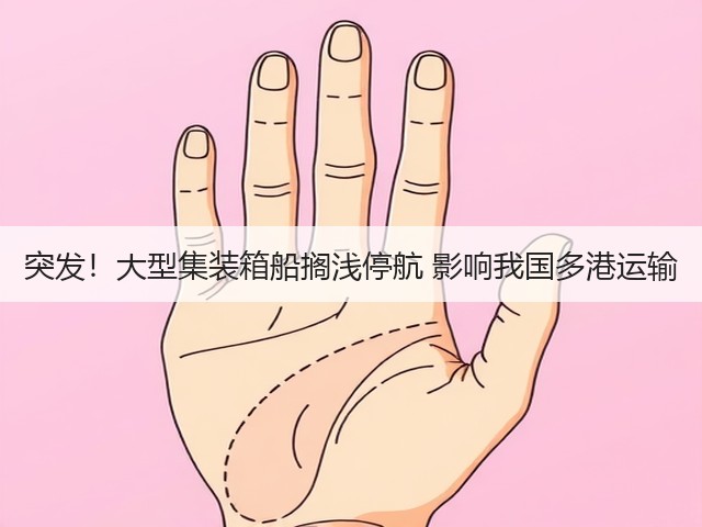 突发！大型集装箱船搁浅停航 影响我国多港运输(图3)