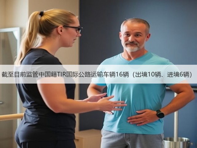 截至目前监管中国籍TIR国际公路运输车辆16辆（出境10辆、进境6辆）(图2)