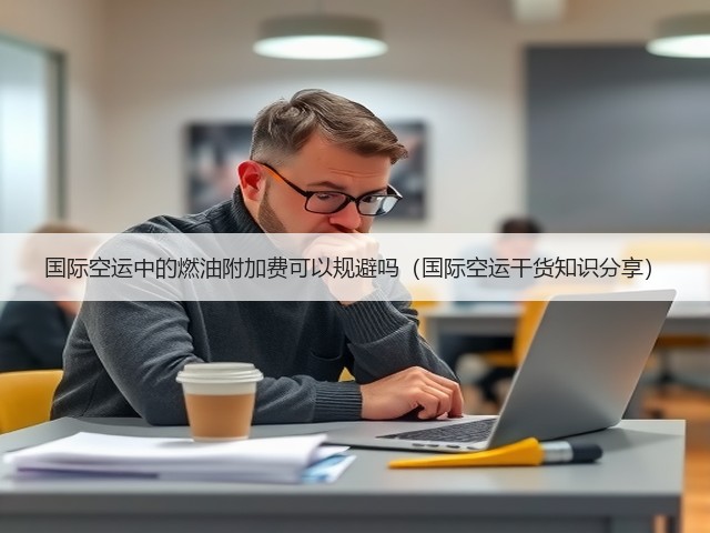 国际空运中的燃油附加费可以规避吗(国际空运干货知识分享)(图2) 国际空运中的燃油附加费可以规避吗(国际空运干货知识分享)(图2)