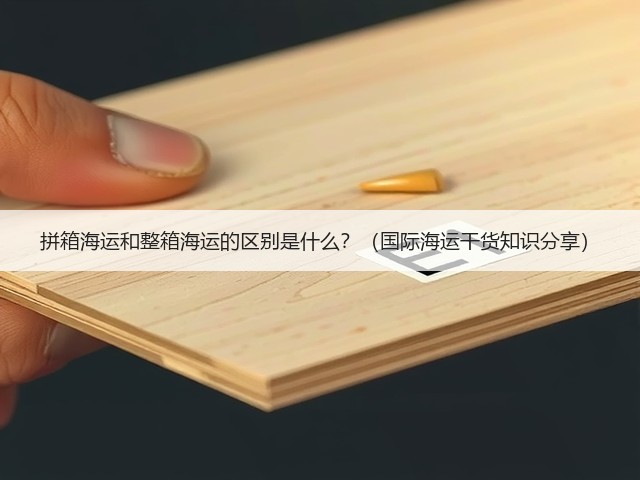 拼箱海运和整箱海运的区别是什么？（国际海运干货知识分享）(图3)