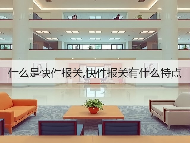 什么是快件报关,快件报关有什么特点(图1) 什么是快件报关,快件报关有什么特点(图1)