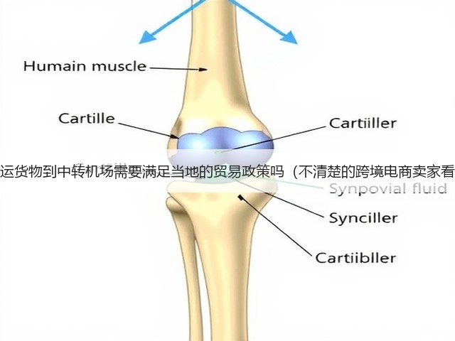 国际空运货物到中转机场需要满足当地的贸易政策吗(不清楚的跨境电商卖家看过来)(图1) 国际空运货物到中转机场需要满足当地的贸易政策吗(不清楚的跨境电商卖家看过来)(图1)