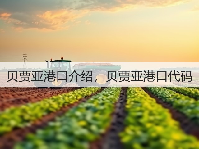 贝贾亚港口介绍,贝贾亚港口代码(图1) 贝贾亚港口介绍,贝贾亚港口代码(图1)