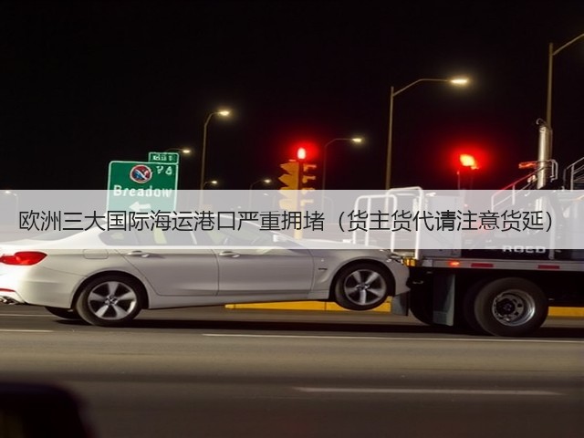 欧洲三大国际海运港口严重拥堵（货主货代请注意货延）(图2)