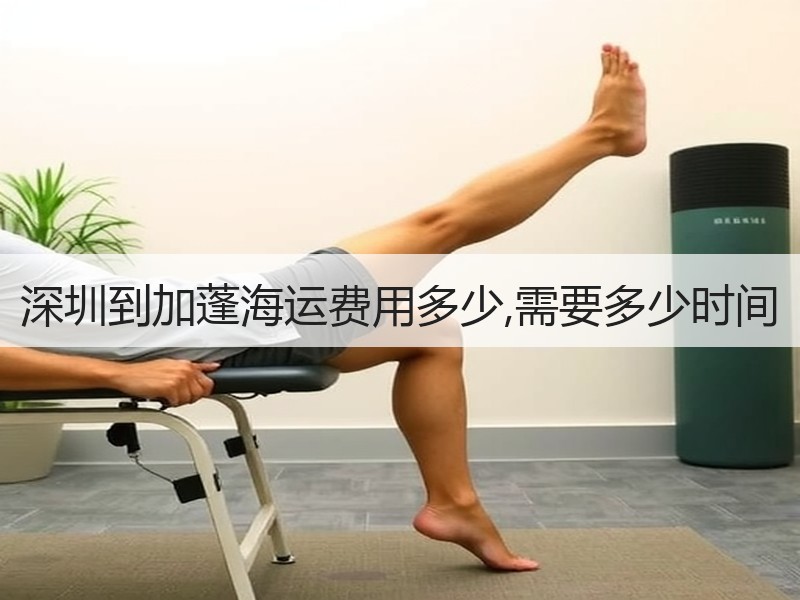 深圳到加蓬海运费用多少,需要多少时间 深圳到加蓬海运费用多少,需要多少时间